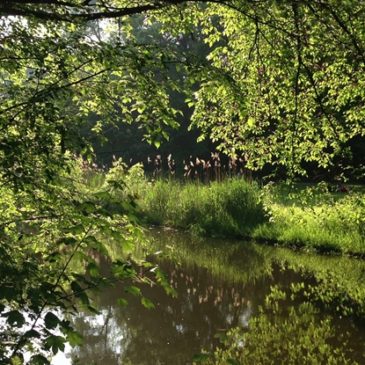 Tweede bewonersavond Vliegenbosdinsdag 2 juli, 19.30 uur