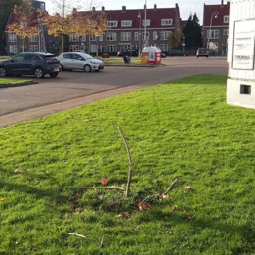 Ook tweede jubileumboom voor Vogeldorp gesloopt