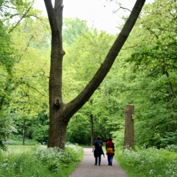 Botanische wandelingen door Amsterdamse stadsparken