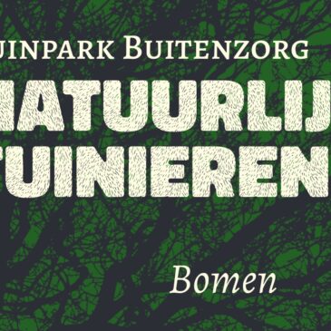 Uitgesteld: Inspraakmiddag Bomen