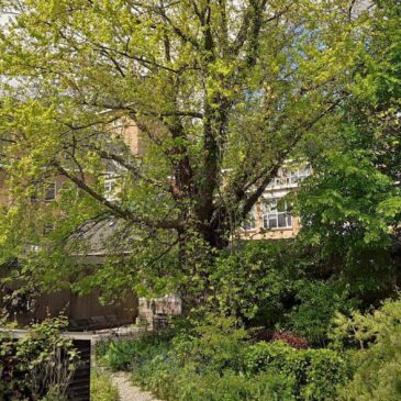 Za. 4 mei ’24 | Dodenherdenking