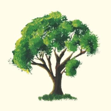 Zo. 28 juli ’24 |  Dichter bij de boom